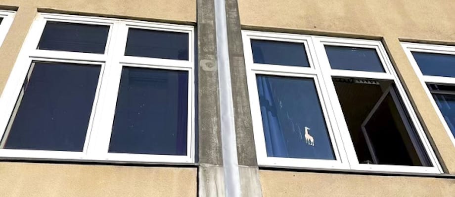 Kleben von Dichtungsbändern und Folien